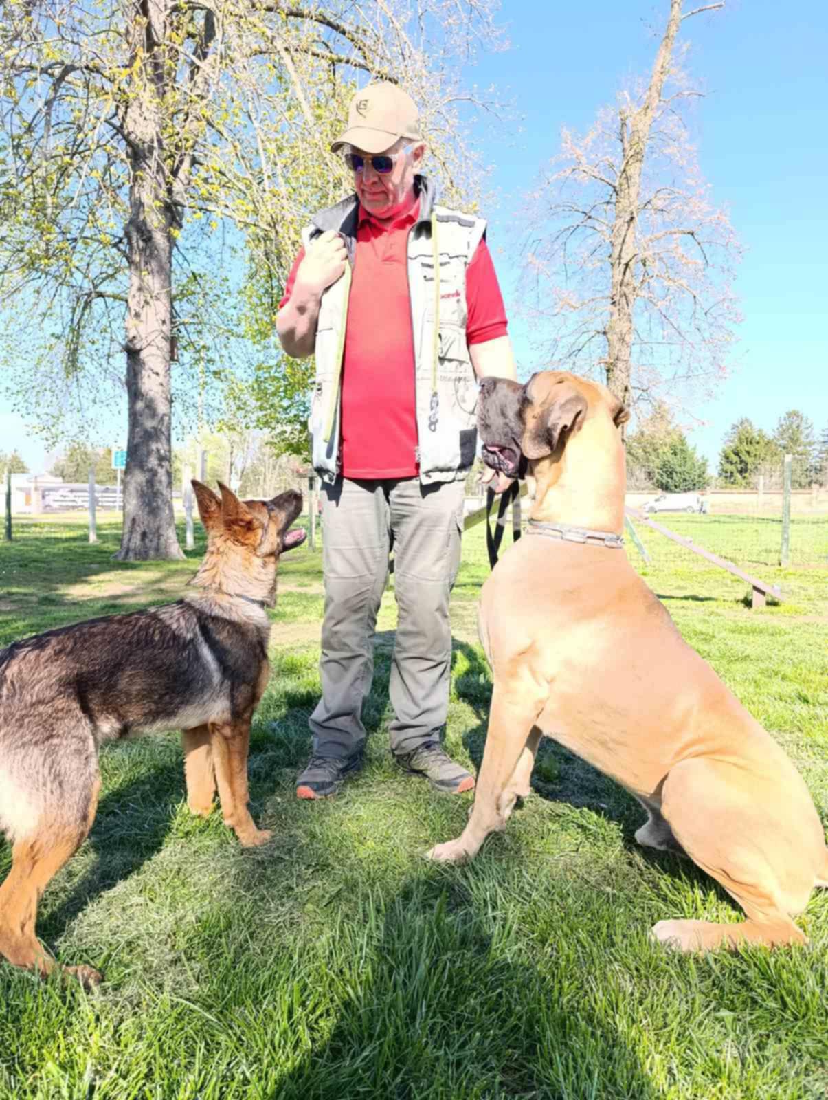 4b6f19a6-794d-443f-acb9-1585b6e45424