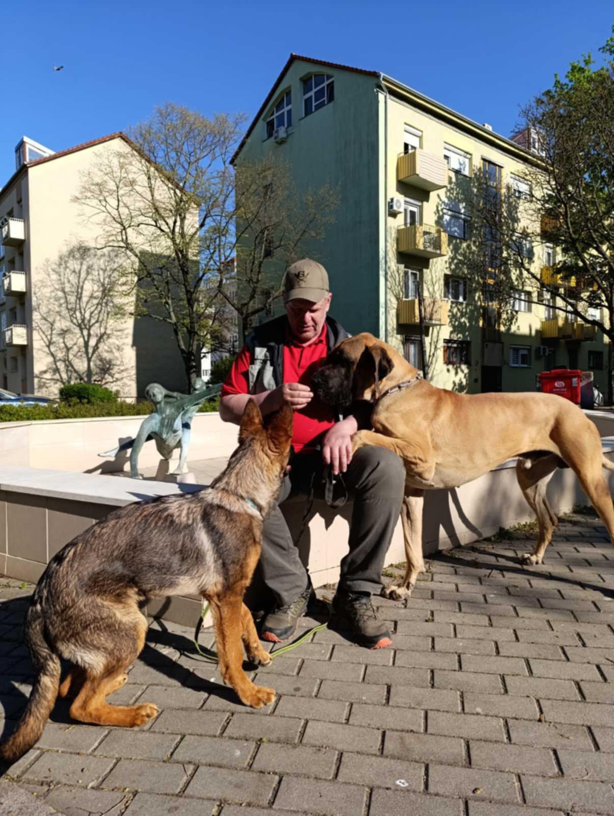 66c2f4b3-9c91-46d7-8d3e-cfe6339ac337